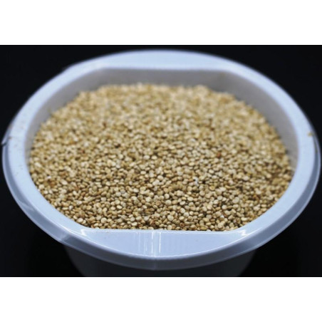 QUINOA BLANCA B. 1Kg.
